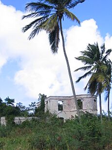 Saint Lucy, Barbados 007