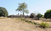 Sanchi Temple 40