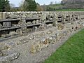 Sawley Abbey 25