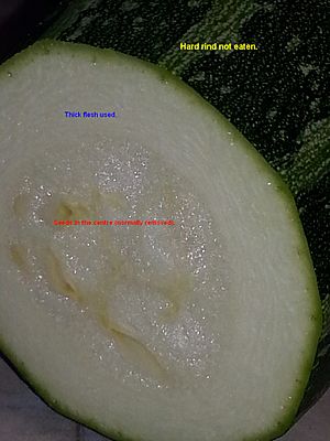 Seed pattern in a marrow.jpg