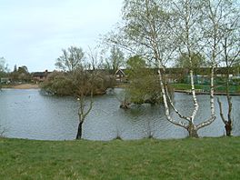 Shard End Lake Birmingham1.JPG