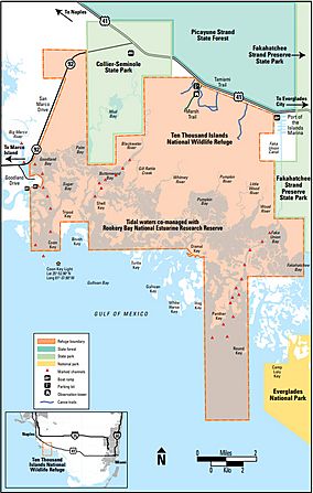 Ten Thousand Islands National Wildlife Refuge.jpg