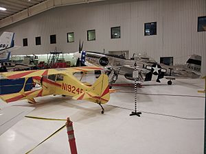 Texas Air & Space Museum Beercat and P-51D