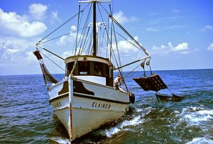 Trawer Hauling Nets