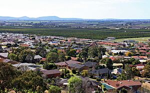 View over Griffith NSW 1