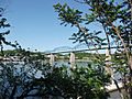 Walnut Street Bridge, January 2013