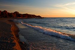 Waves on the Beach