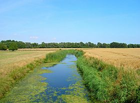 White Kemp Sewer - geograph.org.uk - 215406