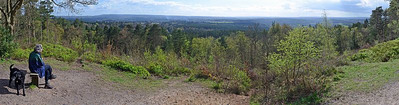 A view from Crooksbury Hill, England 1062