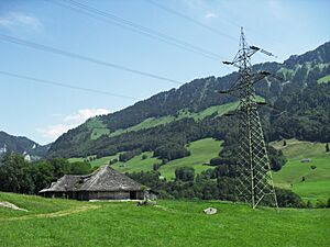 Alpage près de Châtel-sur-Montsalvens