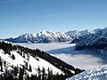 Alpen fellhorn2