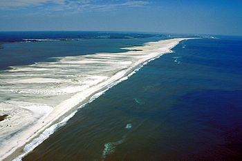 Assateague Island aerial view.jpg