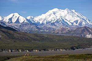 Bear Digging and Denali (11330360484)