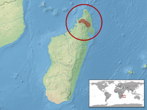 Brookesia betschi distribution.png