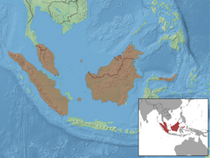 Callosciurus prevostii distribution.png