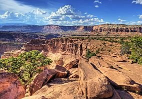 Capitol Reef National Park.jpg