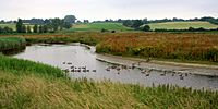 Cmglee Manningtree River Stour