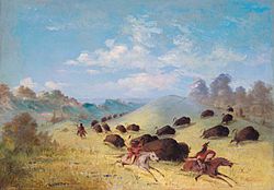 Comanche Indians Chasing Buffalo with Lances and Bows