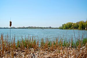 Darlington Provincial Park bay.jpg