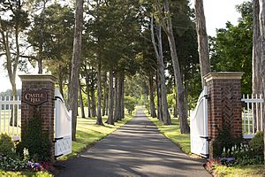 Entrance to Castle Hill