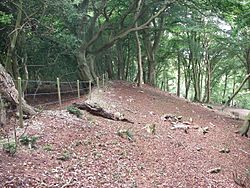 Frankenbury camp geograph-514585-by-Barry-Deakin