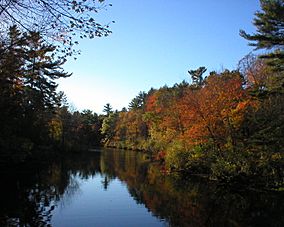 IpswichRiver.JPG