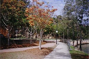 Kangaroo-Point-Cliffs-walking-track-photo-taken-September-2007