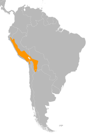 Metriopelia ceciliae distribution map.png