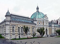 Miskolc Erzsébet Spa