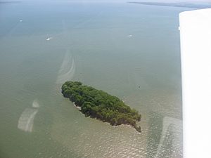 Mouse Island, Lake Erie.jpg