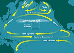 North Pacific Subtropical Convergence Zone