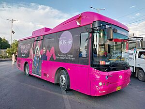 Peoples Bus Service (Pink) Karachi