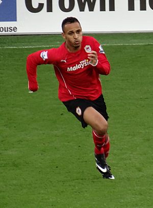 Peter Odemwingie Cardiff 1314