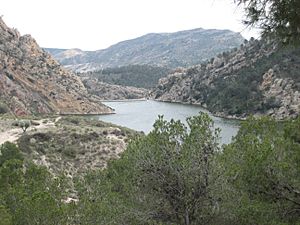 Presa del pantano de Tibi