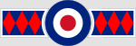 RAF 45 Sqn.svg