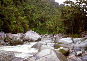 Rio Orosi1