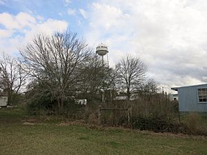 Rock Island TX Water Tower