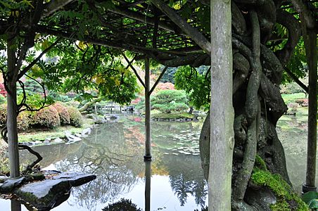 Seattle Japanese garden 2011 03