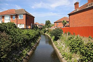 Tanners brook in millbrook