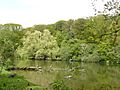 Tiergarten Nbg Weiherlandschaft