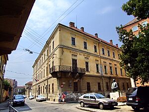 Transylvanian History Museum 1