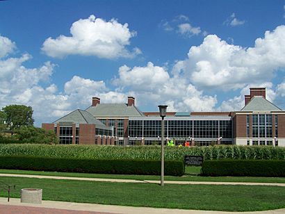 UIUCcornfield