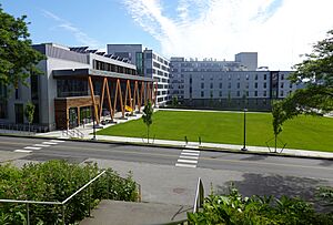 USM Portland Quad