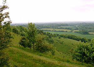 View from Beacon Hill 1