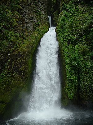 Wahclella Falls