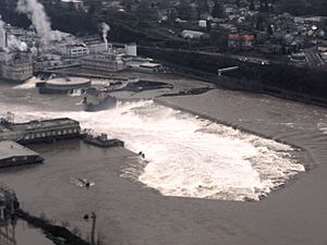 Willamete Falls flood aerial