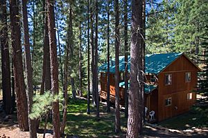 A Cabin in Truckee CA