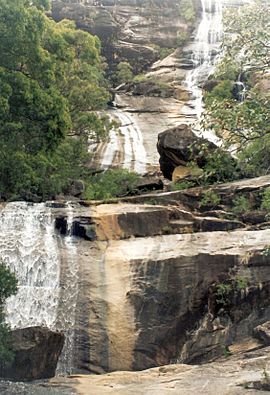 Alligator Creek Falls.jpg