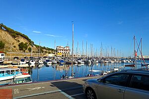 Arenys de Mar port.jpg