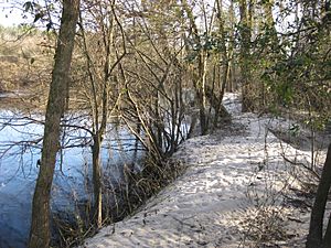 Banks of the Northeast Cape Fear